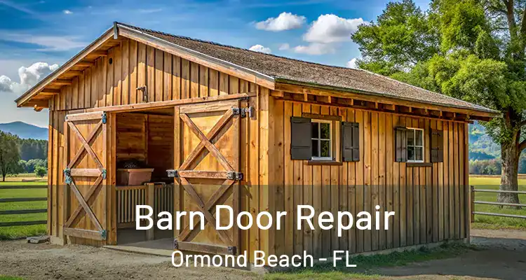  Barn Door Repair Ormond Beach - FL