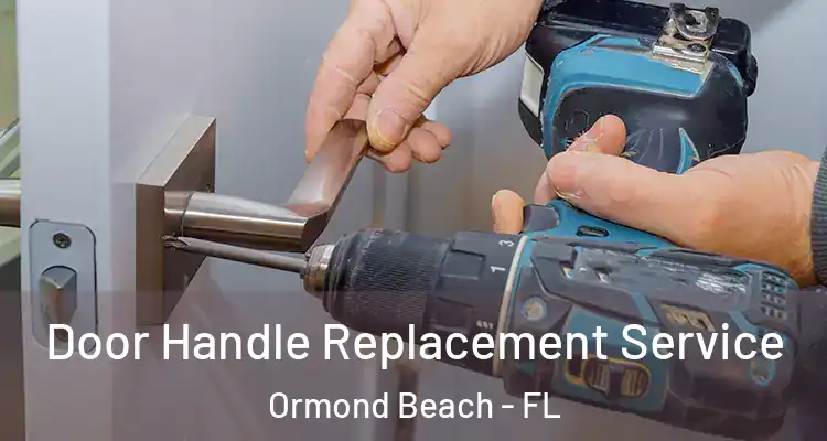  Door Handle Replacement Service Ormond Beach - FL