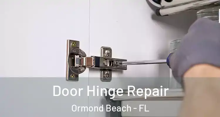  Door Hinge Repair Ormond Beach - FL