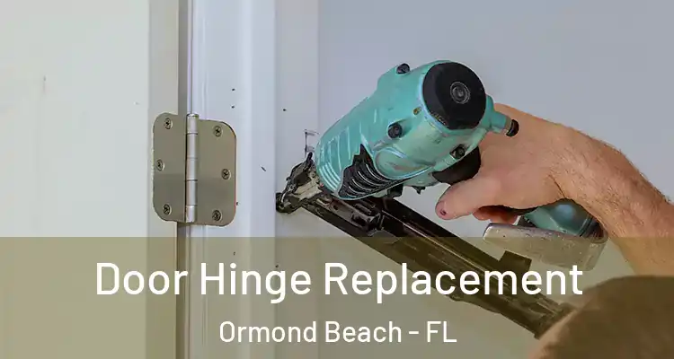  Door Hinge Replacement Ormond Beach - FL