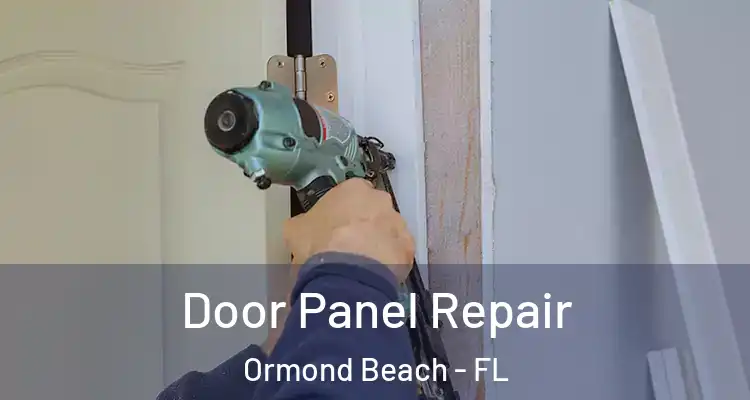  Door Panel Repair Ormond Beach - FL