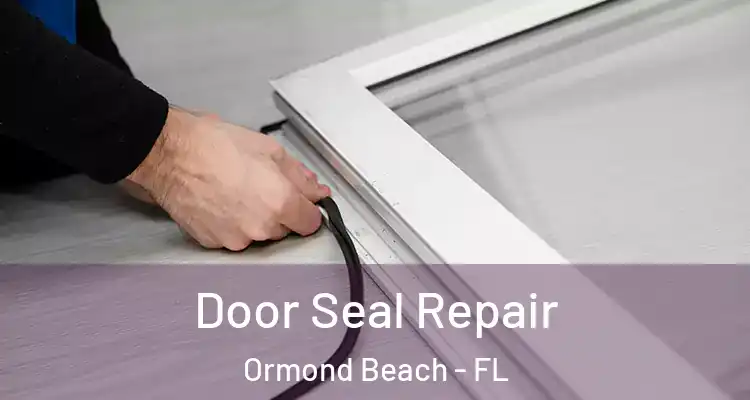  Door Seal Repair Ormond Beach - FL