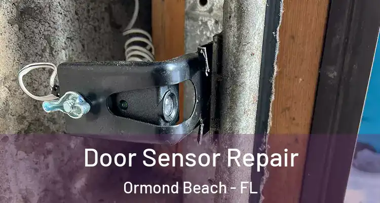  Door Sensor Repair Ormond Beach - FL