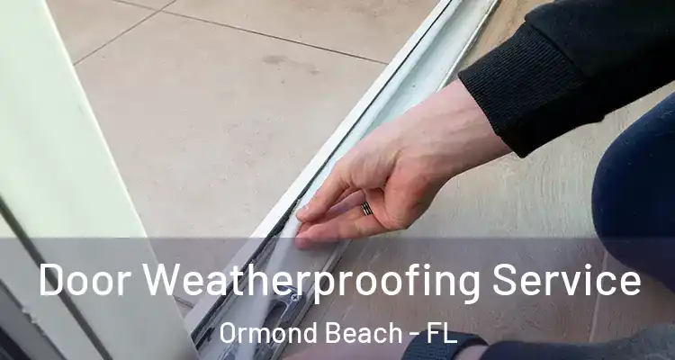  Door Weatherproofing Service Ormond Beach - FL