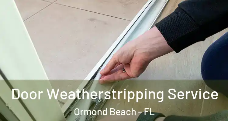  Door Weatherstripping Service Ormond Beach - FL