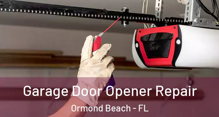  Garage Door Opener Repair Ormond Beach - FL