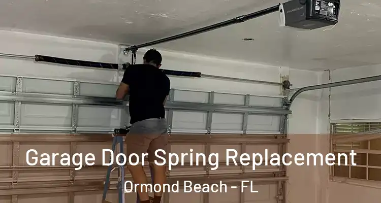  Garage Door Spring Replacement Ormond Beach - FL