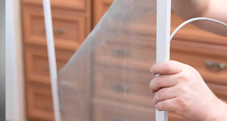 Privacy Mesh Screen Door Installation in Ormond Beach, FL