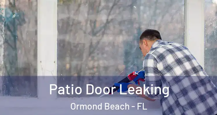  Patio Door Leaking Ormond Beach - FL