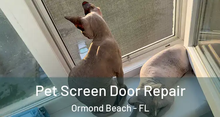  Pet Screen Door Repair Ormond Beach - FL