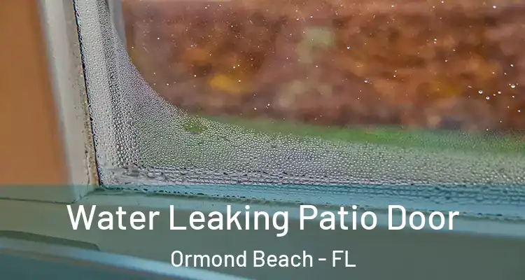  Water Leaking Patio Door Ormond Beach - FL